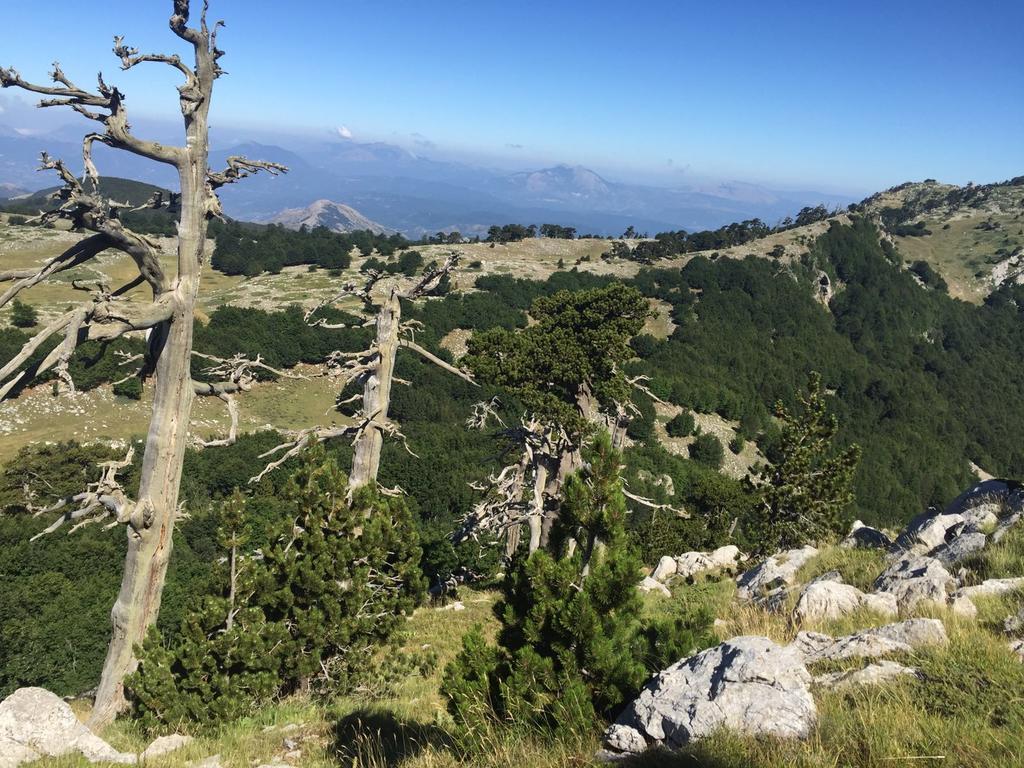 La Stella Del Pollino Hotel San Lorenzo Bellizzi Kültér fotó